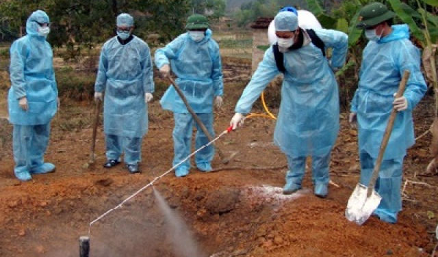 Đẩy mạnh hợp tác đào tạo cán bộ điều tra bệnh dịch