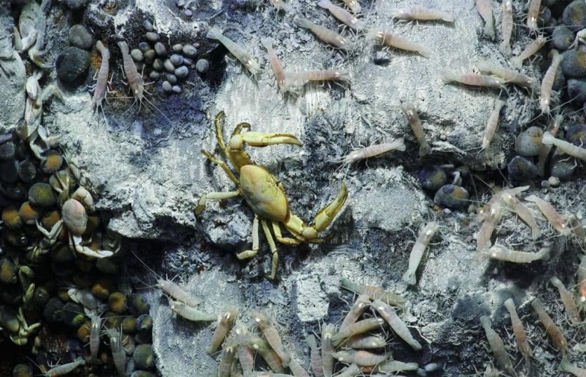 Ô nhiễm môi trường nơi thẳm sâu của Trái Đất