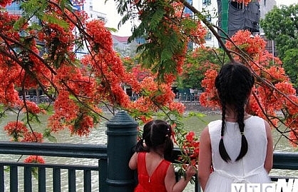 Nhiều hoạt động bổ ích cho trẻ trong dịp Hè 2019