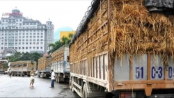 Thời gian và chi phí tăng nhiều lần, xuất khẩu Việt Nam gặp khó khi Trung Quốc tiếp tục chính sách Zero Covid