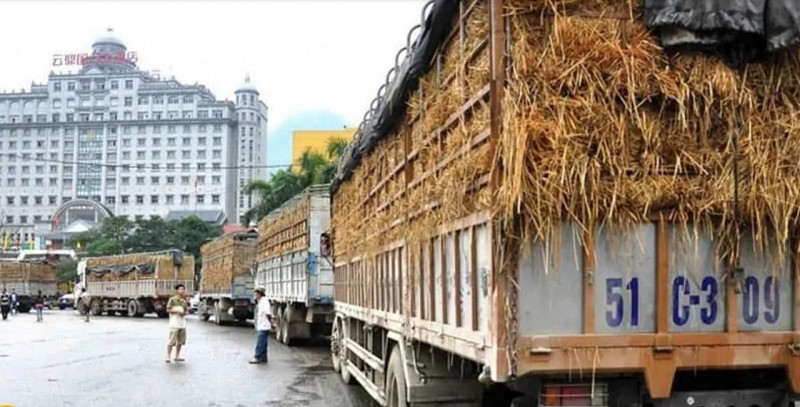 Hang Việt Nam xuất khẩu sang Trung Quốc tai cửa khẩu. (Nguồn: Chuyển phát Trung Quốc)