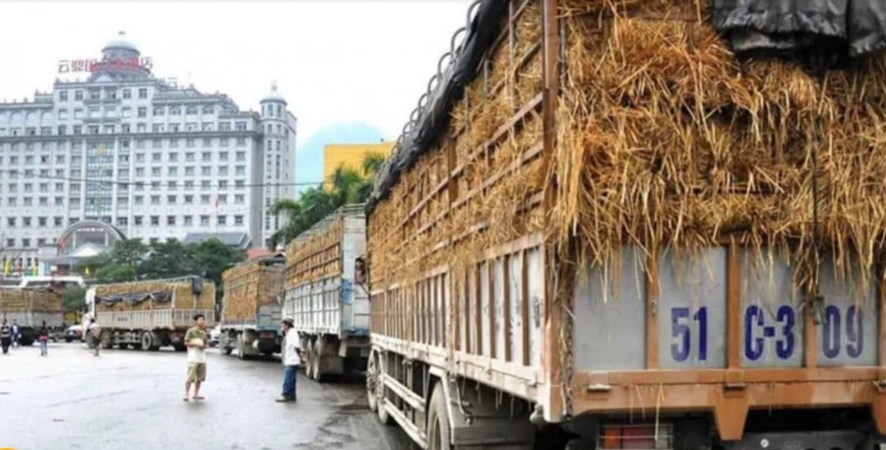 Doanh nghiệp Việt Nam gặp khó khi Trung Quốc tiếp tục chính sách "Không COVID"