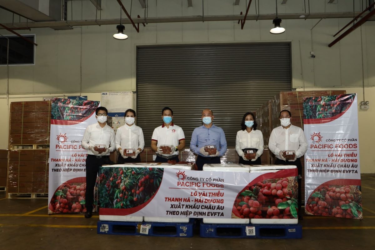 Xuất khẩu lô vải thiều đầu tiên đi châu Âu theo EVFTA năm 2021