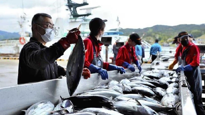 Nhật Bản thúc đẩy số hóa trong ngành đánh bắt cá