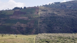 Kenya ngăn chặn phá rừng bằng ứng dụng công nghệ kỹ thuật số