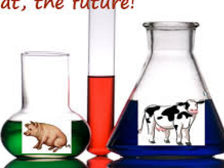 Thịt “nhân tạo” có làm nên kỷ nguyên mới trong ngành thực phẩm?