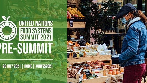 Liên hợp quốc hối thúc các ngân hàng phát triển công 'xanh hóa' hoạt động cho vay