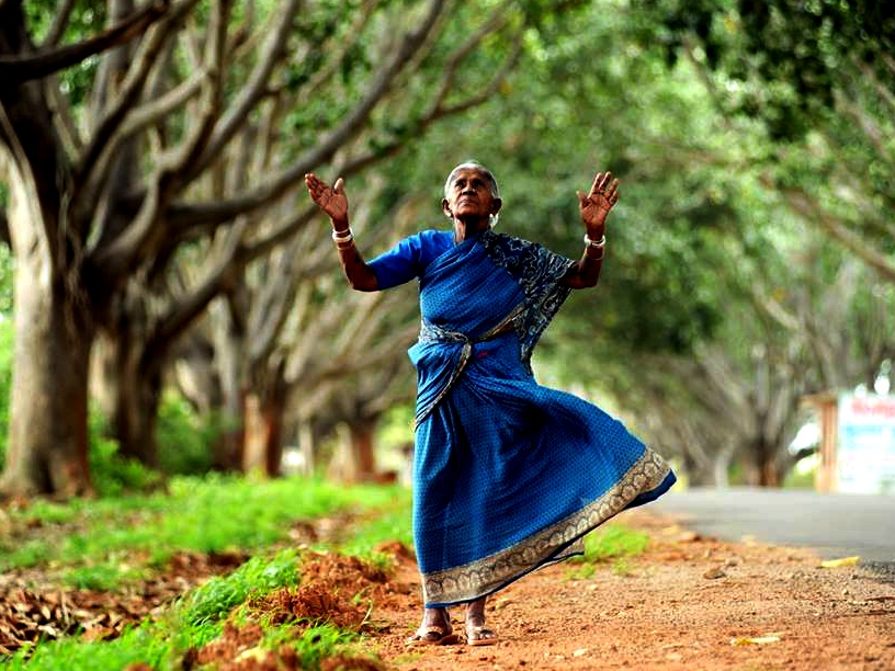 Người mẹ của những hàng cây