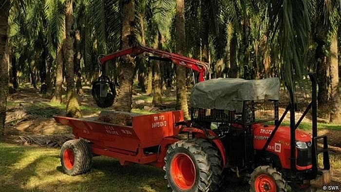 quoc hoi phap bo phieu ngung uu dai thue cho dau co