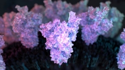 Covid-19: Giới khoa học chạy đua phát triển vaccine chống biến thể mới của virus