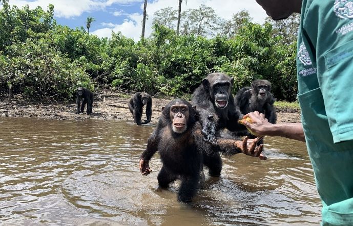 Hành trình xúc động về người đàn ông cứu tinh tinh bị bỏ rơi