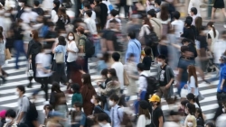 Chi tiêu đầu tư trong nước của các công ty Nhật Bản tăng quý thứ 2 liên tiếp