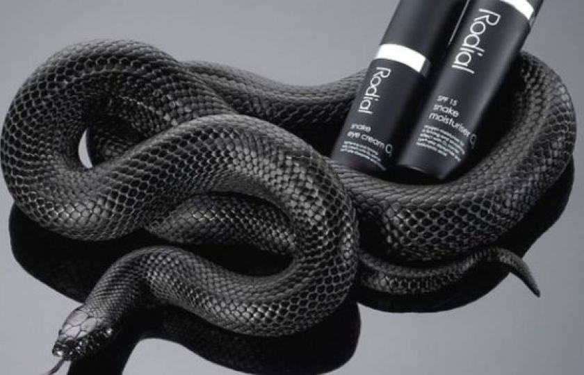 Sắc đẹp tạo ra từ nọc rắn và máu rồng đất