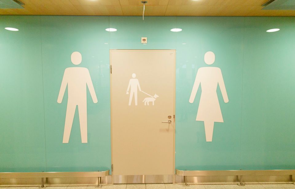 Phần Lan lắp đặt nhà vệ sinh cho chó ở sân bay Helsinki