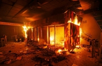 bieu tinh chile dam chay lon tu nhung dom lua nho