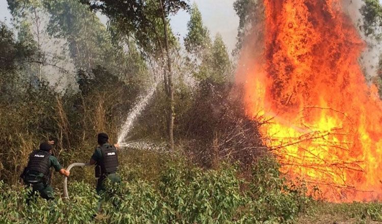 (12.15) Campuchia sẽ có biện pháp mạnh tay đối với hành vi đôt rơm rạ nhằm bảo vệ môi trường. (Nguồn: Khmer Times)