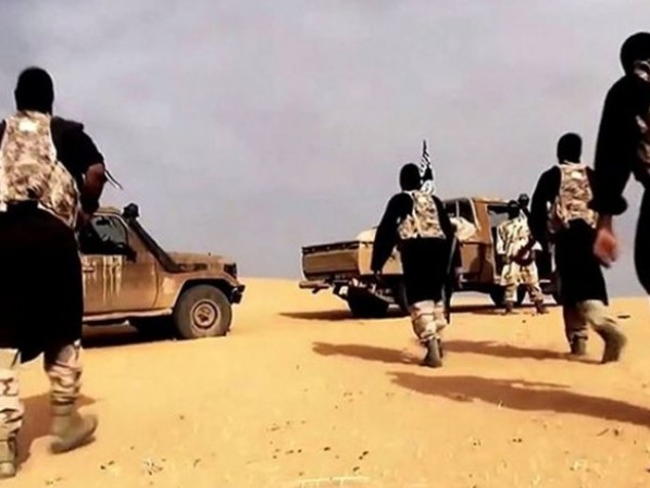 Tunisia đẩy mạnh truy quét khủng bố