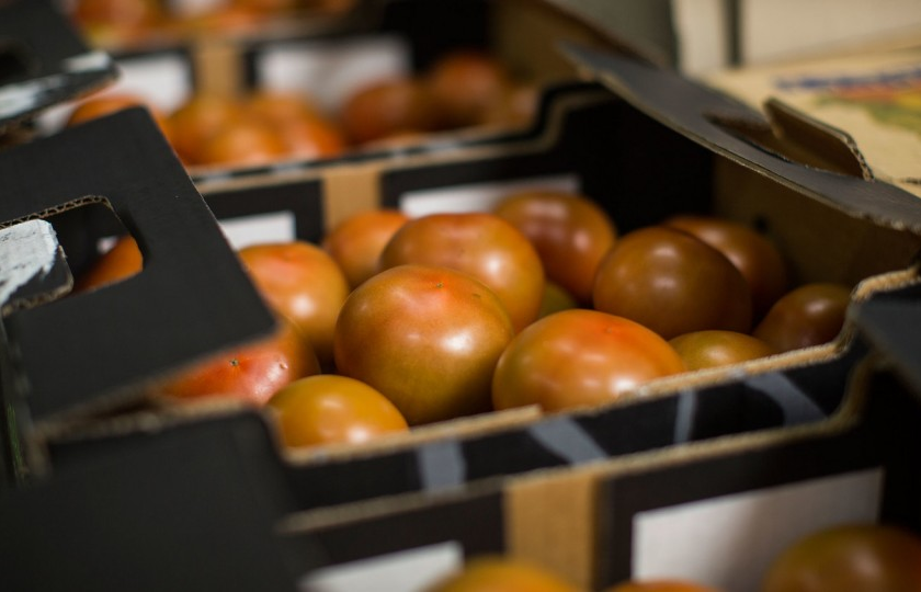 Cảnh báo lừa đảo, gian lận thương mại đối với hoa quả Việt Nam xuất sang Dubai