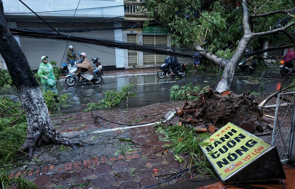 Hà Nội: Cây đổ, người chết dưới gió bão Mirinae