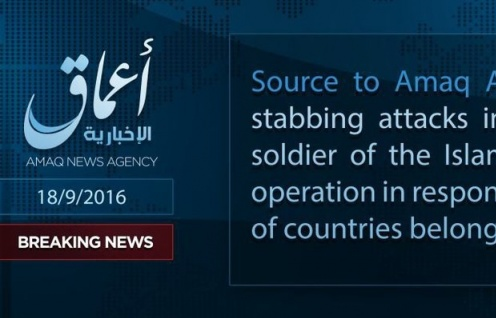 Mỹ: Cuộc tấn công ở New York, Minnesota có diễn biến mới