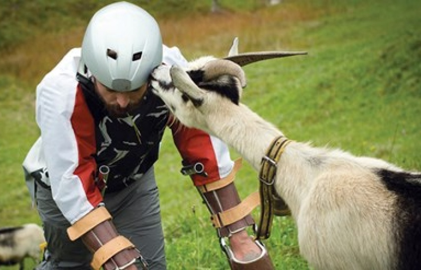 Ig Nobel 2016: Mặc quần cho chuột, biến mình thành dê