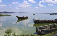 giam khi thai nha kinh kho hon du ti nh