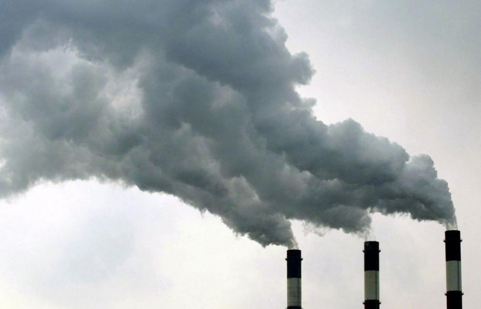 Ô nhiễm không khí có thể gây tổn thương mạch máu