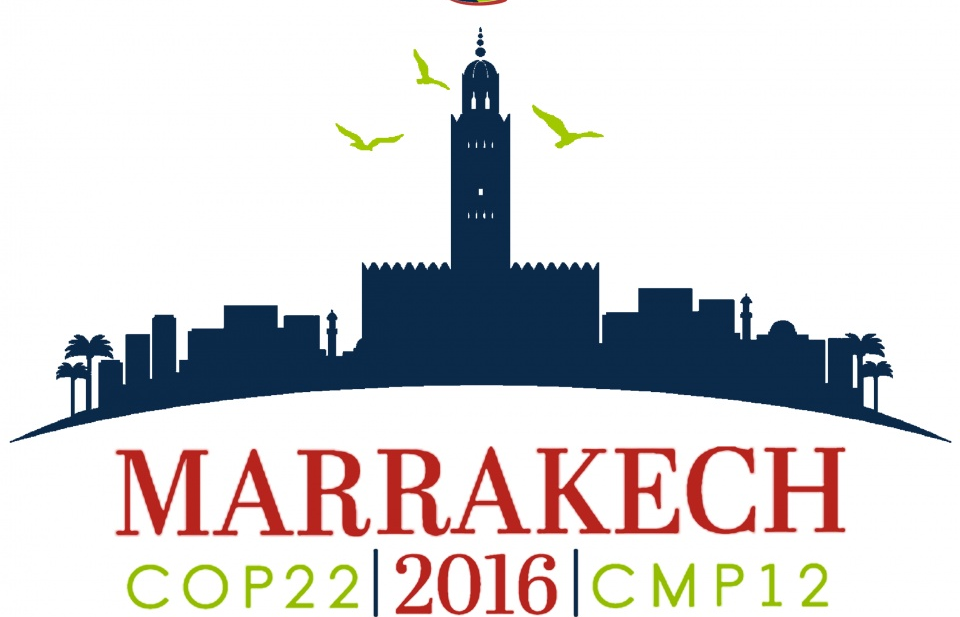 WHO nhấn mạnh vai trò y tế trong đối phó biến đổi khí hậu