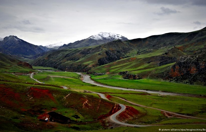 Phát hiện 163 loài mới tại Tiểu vùng sông Mekong