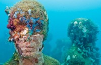 tin nhap 20180614164319