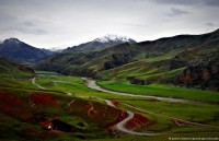 loai cho da dong hanh voi con nguoi lau hon chung ta tuong