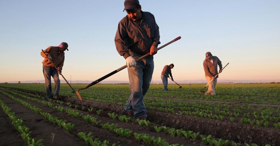 Mexico: Tỷ lệ thất nghiệp thấp nhất trong 11 năm