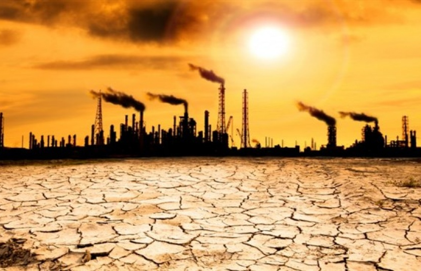 Khí hậu ấm lên làm biến đổi hầu hết sự sống trên Trái đất