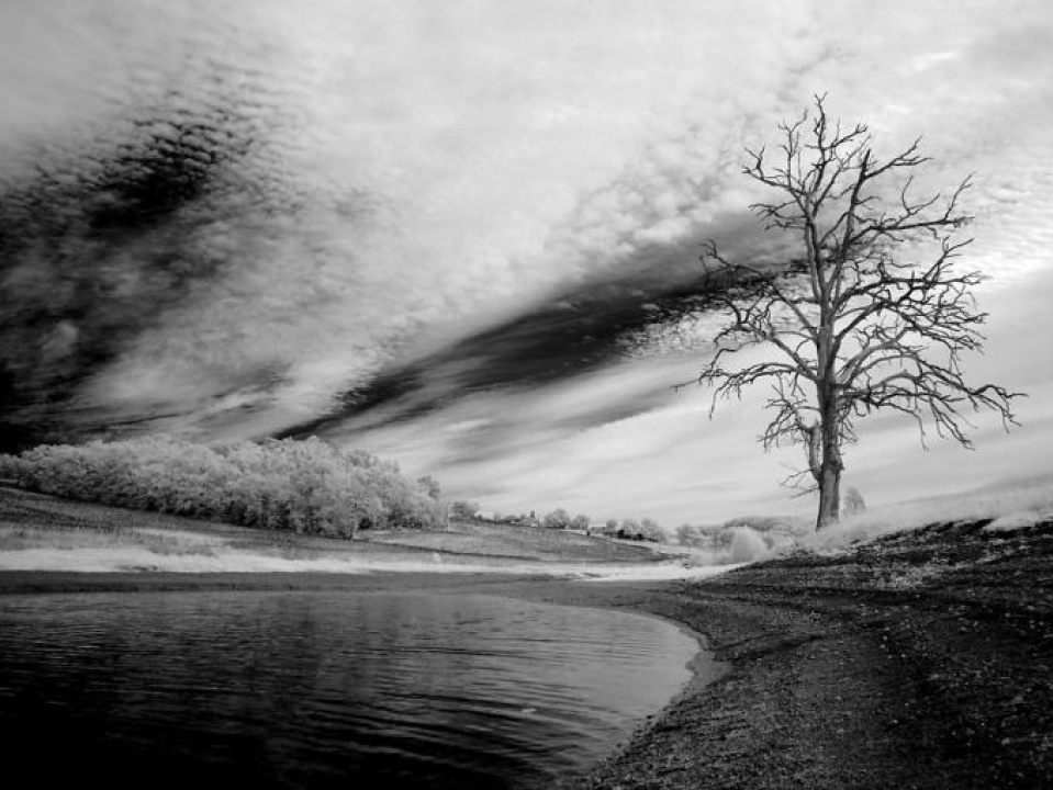 Biến đổi khí hậu nghiêm trọng đến mức nào?