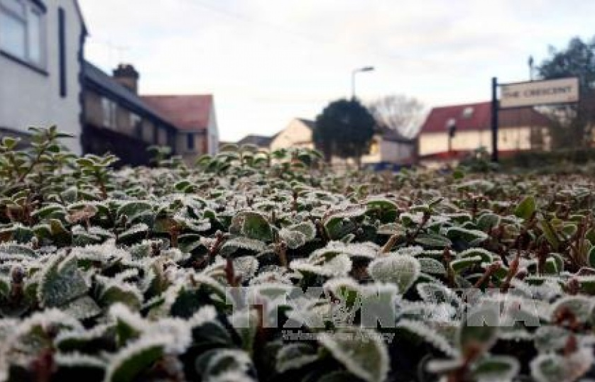 Giới khoa học khẳng định không có sự suy giảm tốc độ ấm lên toàn cầu