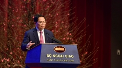 Việt Nam tại Hội đồng Bảo an Liên hợp quốc: Một nhiệm kỳ thể hiện vị thế, uy tín ngày càng tăng và sự tín nhiệm cao