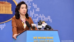 Phản ứng của Việt Nam về diễn biến tình hình ở Ukraine và công tác bảo hộ công dân Việt Nam