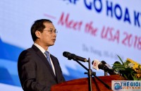 Triển vọng hợp tác giữa miền trung việt nam với doanh nghiệp hoa kỳ