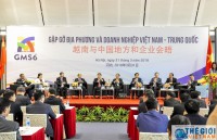 ciie co hoi thuc day hop tac thuong mai viet nam trung quoc