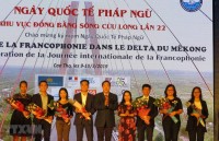 an tuong viet nam giua sac mau phap ngu