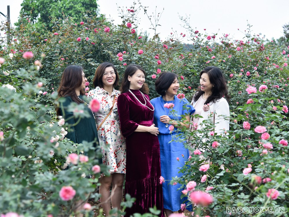 Nhóm Phụ nữ Cộng đồng ASEAN tại Hà Nội hái hoa trổ tài làm nước hoa hồng