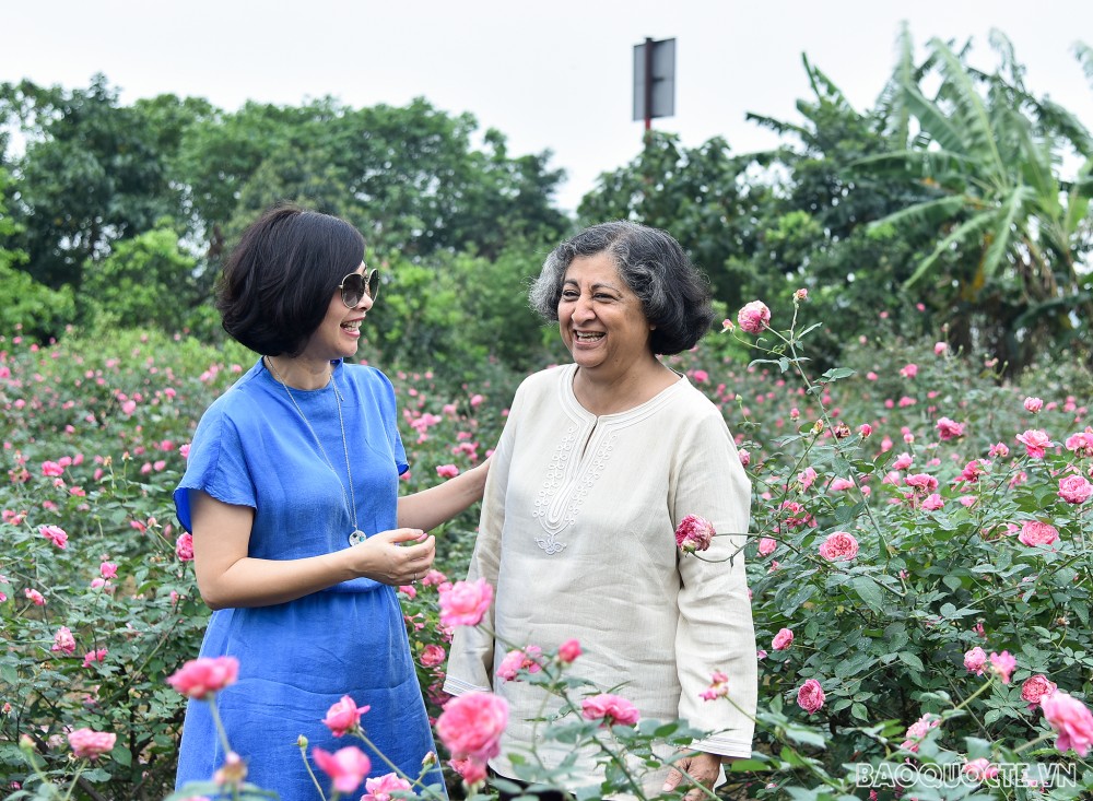 Nhóm Phụ nữ Cộng đồng ASEAN tại Hà Nội hái hoa trổ tài làm nước hoa hồng