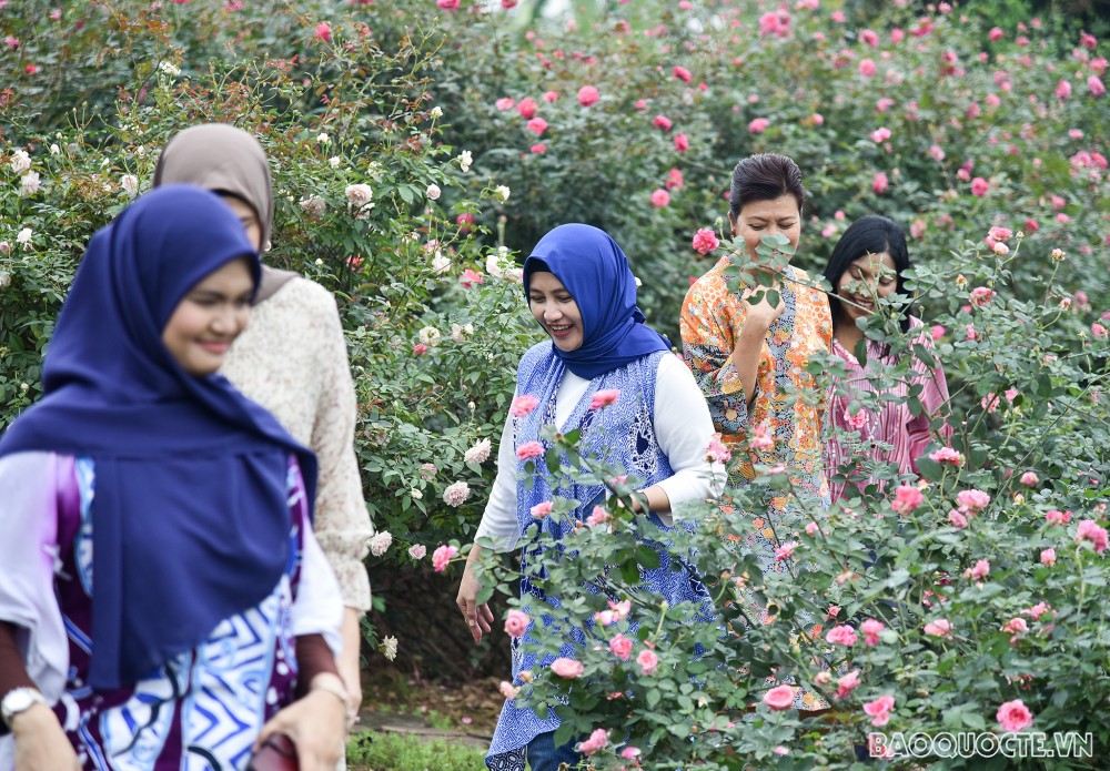 Nhóm Phụ nữ Cộng đồng ASEAN tại Hà Nội hái hoa trổ tài làm nước hoa hồng