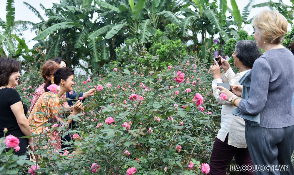 Nhóm Phụ nữ Cộng đồng ASEAN tại Hà Nội hái hoa trổ tài làm nước hoa hồng