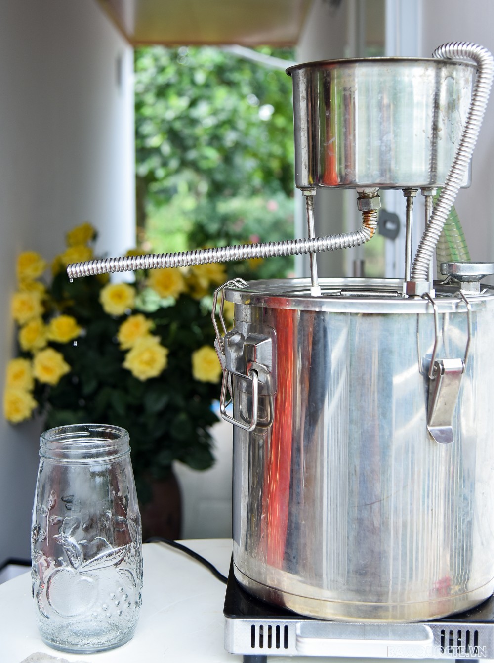 Nhóm Phụ nữ Cộng đồng ASEAN tại Hà Nội hái hoa trổ tài làm nước hoa hồng