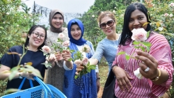 Nhóm Phụ nữ Cộng đồng ASEAN tại Hà Nội hái hoa trổ tài làm nước hoa hồng