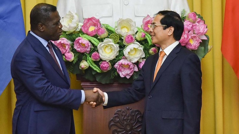 Bộ trưởng Ngoại giao Bùi Thanh Sơn gặp và làm việc với Bộ trưởng Ngoại giao và Hợp tác Quốc tế Sierra Leone