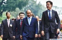 doan uy ban phap luat quoc hoi tham lam viec tai ha lan