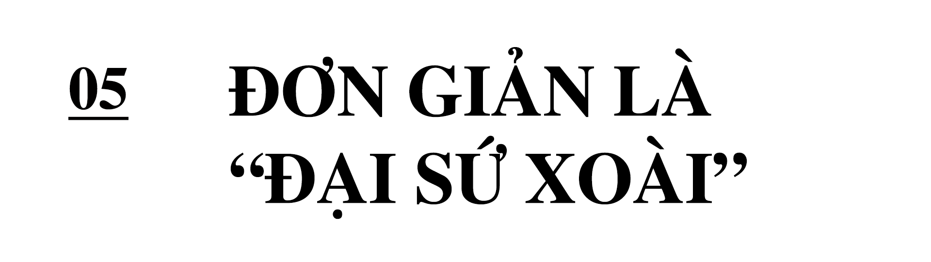 Khi Đại sứ “chơi” mạng xã hội