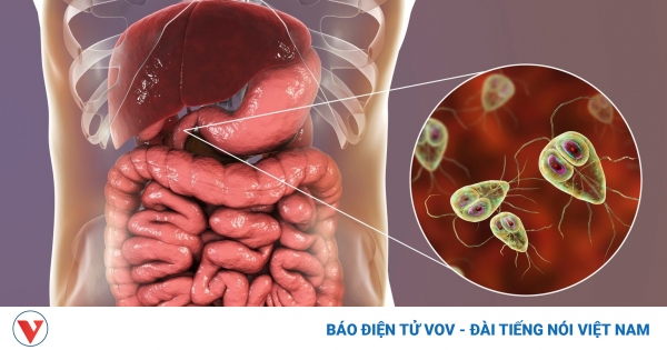 Cảnh báo 9 dấu hiệu cho thấy cơ thể bạn nhiễm ký sinh trùng